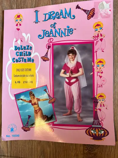 GIRL COSTUME- I DEAM OF JEANNIE. Used once. Like new. In Excellent condition. From a pet and smoke f...