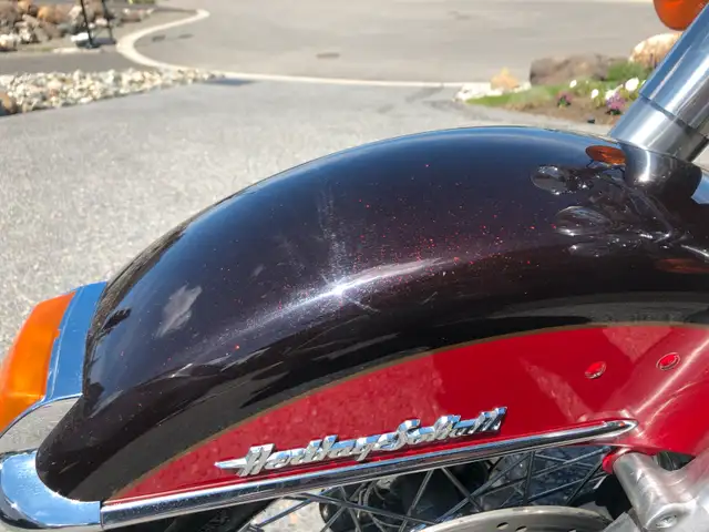 Harley Davidson Heritage Softail in Street, Cruisers & Choppers in Kamloops - Image 7