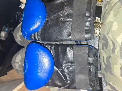 Bushido Sparring Gloves, View more