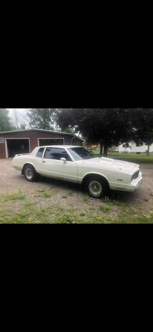 1981 Chevrolet Monte Carlo