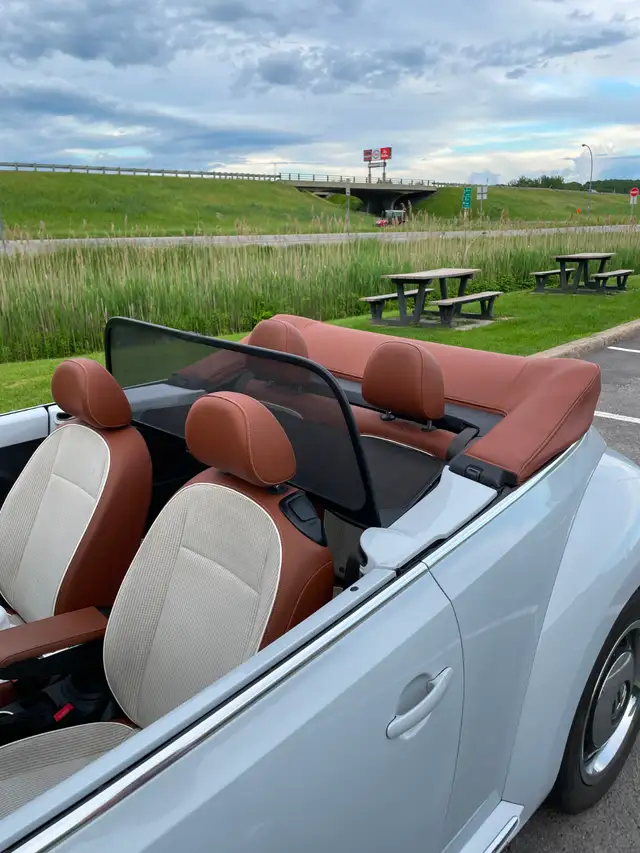 Beetle Convertible498589186529044488