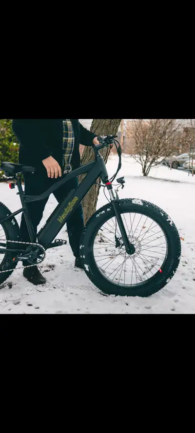 Fatbike electrique, View more