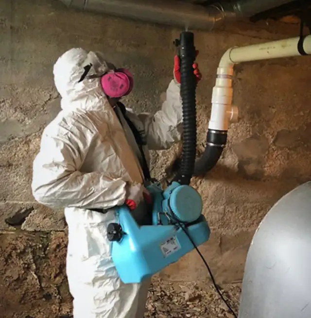 Professional Cleaning Services599597930975088648