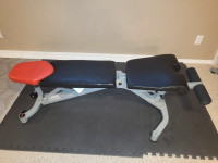 Bowflex workout bench