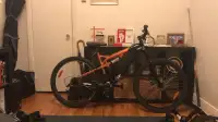 Mountain bike excellent condition 