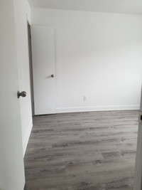 4 1/2 Appartement 1er juillet Hochelaga-Maisonneuve