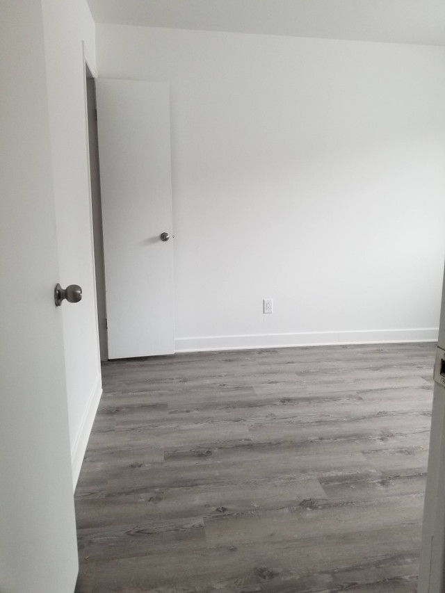 4 1/2 Appartement 1er juillet Hochelaga-Maisonneuve dans Locations longue durée  à Ville de Montréal