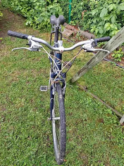 Vélos giant cyprès, View more