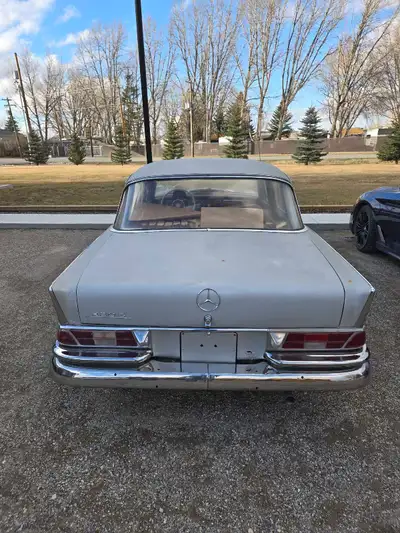Project car!
