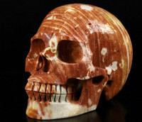 Huge 5.1" Picture Jasper Crystal Skull! Hand carved, realistic.