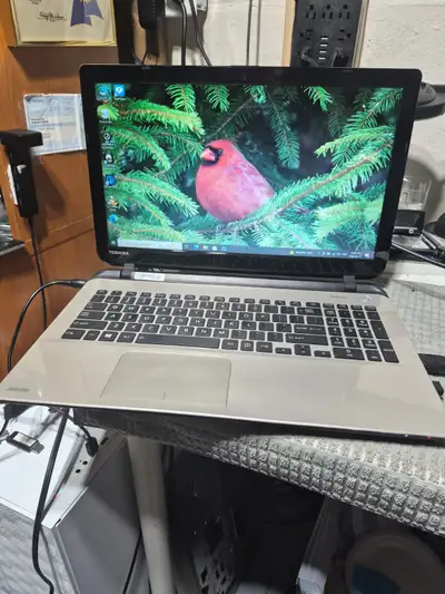 Toshiba Satellite L55D 15.6" Laptop, View more