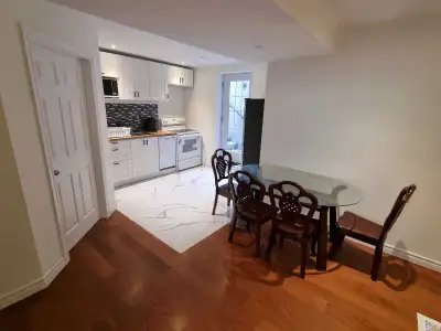 Luxury fully furnished 1+1 basement apartment for short term or long term rent for max 2 persons (3...