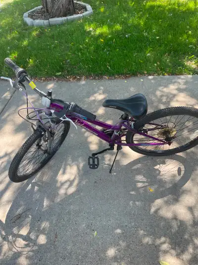 Large Child's Bike, View more
