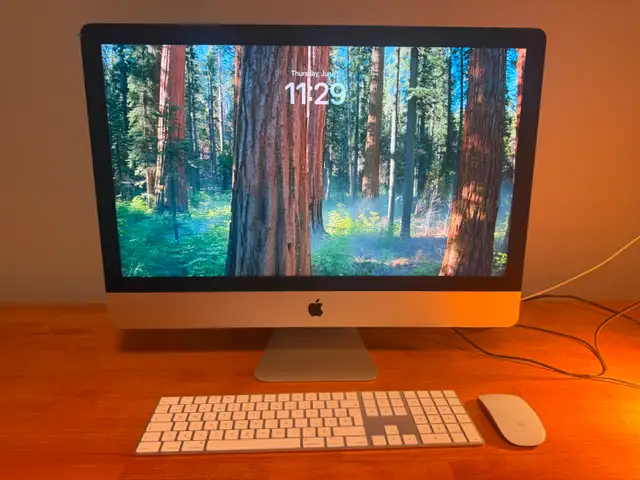 iMac 2020 5K 27" - i7 3.8 GHz 64GB 1TB HDD62863269268483121