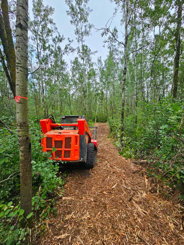 Mulching & Land Clearing62863249241858121
