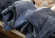 Originating from Indonesia, Ayam Cemani chickens are one of the rarest chickens in the world. They h...