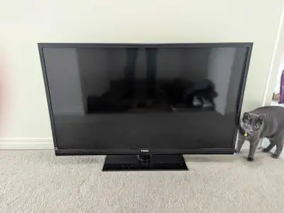 46" Haier TV, View more