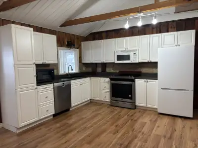 Kitchen cabinets + appliances - MUST GO!!!, View more