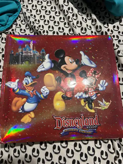 Disneyland photo album, View more