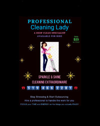 Hire Me: a Deep Clean Specialist Available for In Home Cleaning