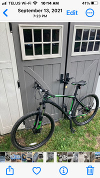 Carbon fibre mountain bike