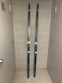 Cross Country Skis