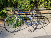 Vintage Olmo Bicycle (Fixie setup optional)