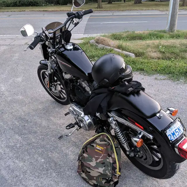 Harley Davidson Sportster  in Sport Touring in Oshawa / Durham Region - Image 6