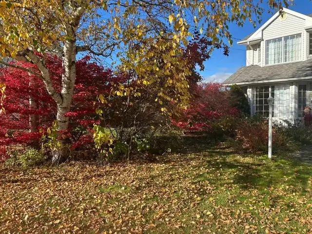 Lewis Point,  5 Beds 3 Baths House in Long Term Rentals in Charlottetown - Image 27