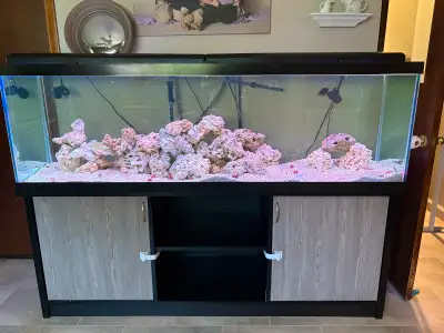 125G Aquarium set up, View more