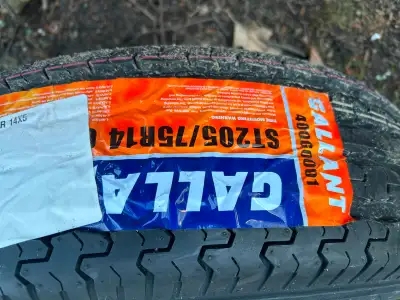 This is a great deal if you need 14" trailer tires. The 2 used ones are on old 5 bolt rims with abou...