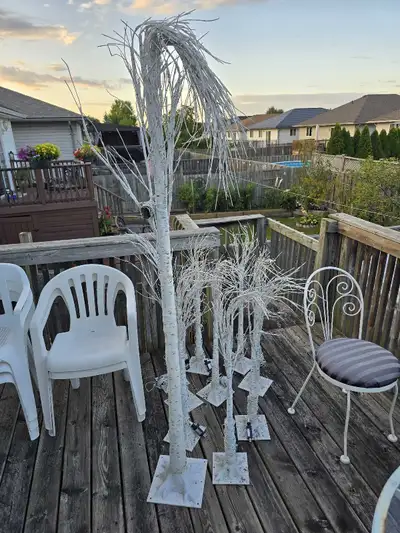Set of Lighted Birch Tree 9 of 4 ft and 1 of 7 ft, View more