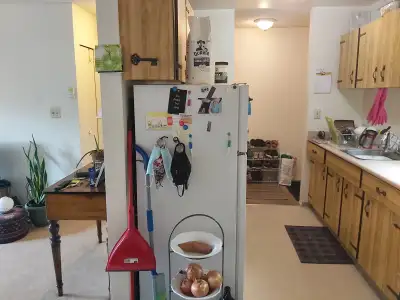 Must see, south facing, cosy 1 bed - July 14/Aug 1 (cat ok)