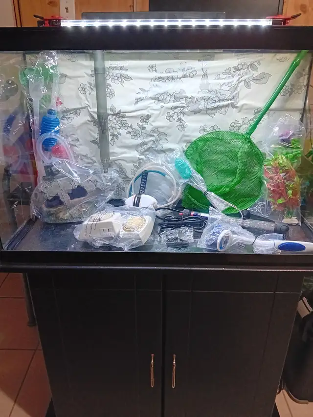 Aquarium fish 30 Galons (113,5 Liters) in Other in Laval / North Shore - Image 4