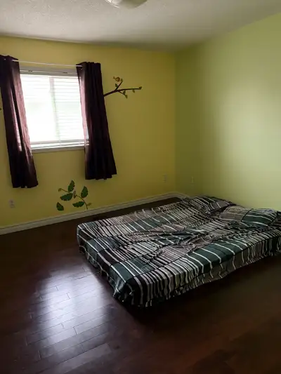 room rent