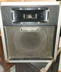 Traynor passive wedge speaker pair