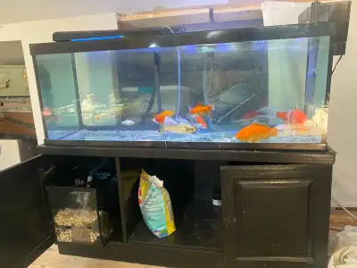 Prices below. Everything is in working condition. Tanks are all in fantastic condition ( 65 gallon c...
