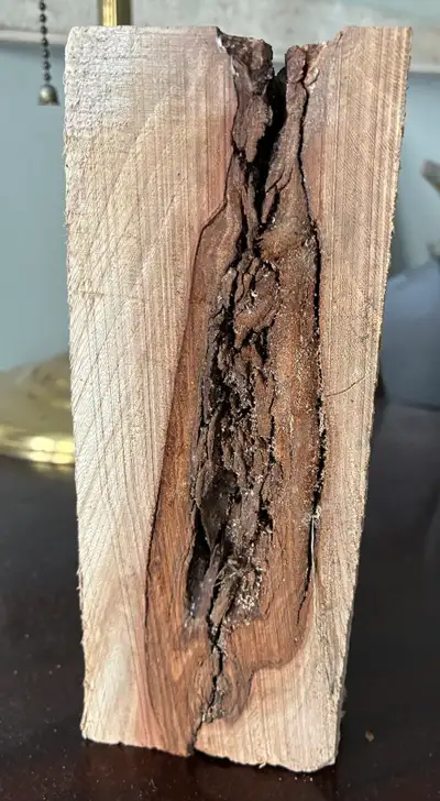 $10 erotic wood Burl not firewood art antique vintage East York, View more