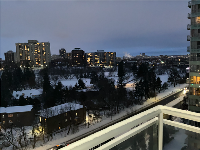 Freshly renovated 1-bedroom condo in Ottawa (Beechwood)