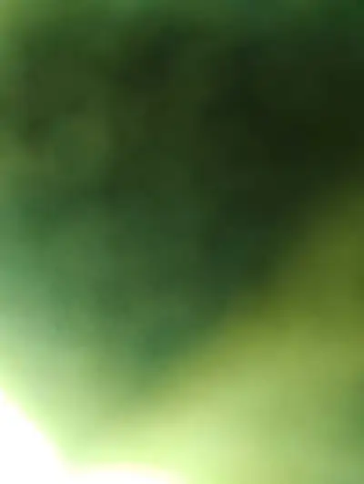 Man with a shovel , View more