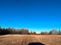 20 acres of land Dixonville Alberta