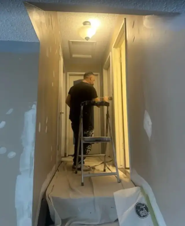 Painter, Painting, Paint, Renovation, Painters ✅ 647360352162863722531459122
