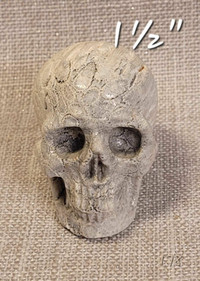 Crâne Skullis 1½" corail nipomo. Nipomo Coral mini skull.