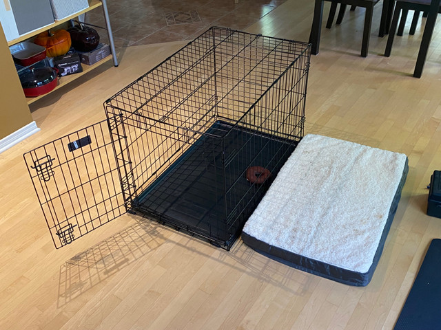 Medium Dog Crate and matress in Accessories in Gatineau