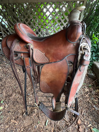 Andy Knight Saddle