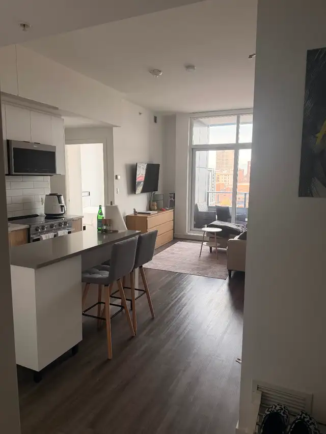 Luxury 1 Bedroom Apartment for rent / BLVD BELTLINE