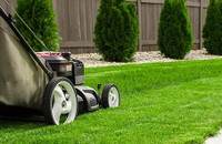 Lawn Mowing & Property Clean Up