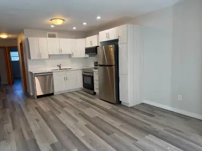 Bright and renovated 2 bedroom, 1 bathroom North Lethbridge basement for rent. Updated kitchen, appl...