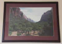 Framed Picture of Zion National Park