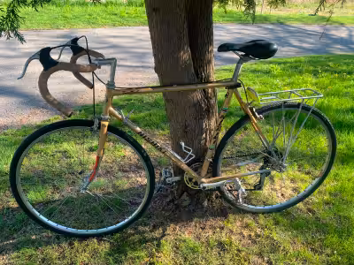 Nishiki 10 speed, 27 inch wheels, 22" frame, cushion seat, rat traps ~ works fine!